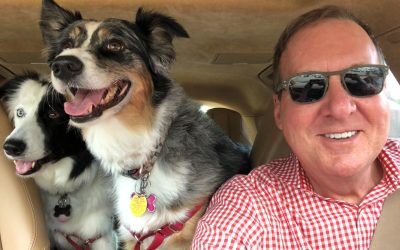 New Client-Partner Announcement: Pet Resource Center of Kansas City