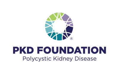 Chief Advancement Officer Opportunity with JB+A Client PKD Foundation